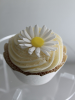 daisy-cup-cake.JPG